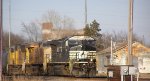 NS 4443